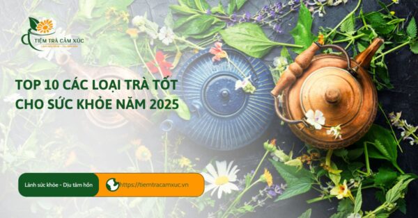 Top 10 các loại trà tốt cho sức khỏe năm 2025