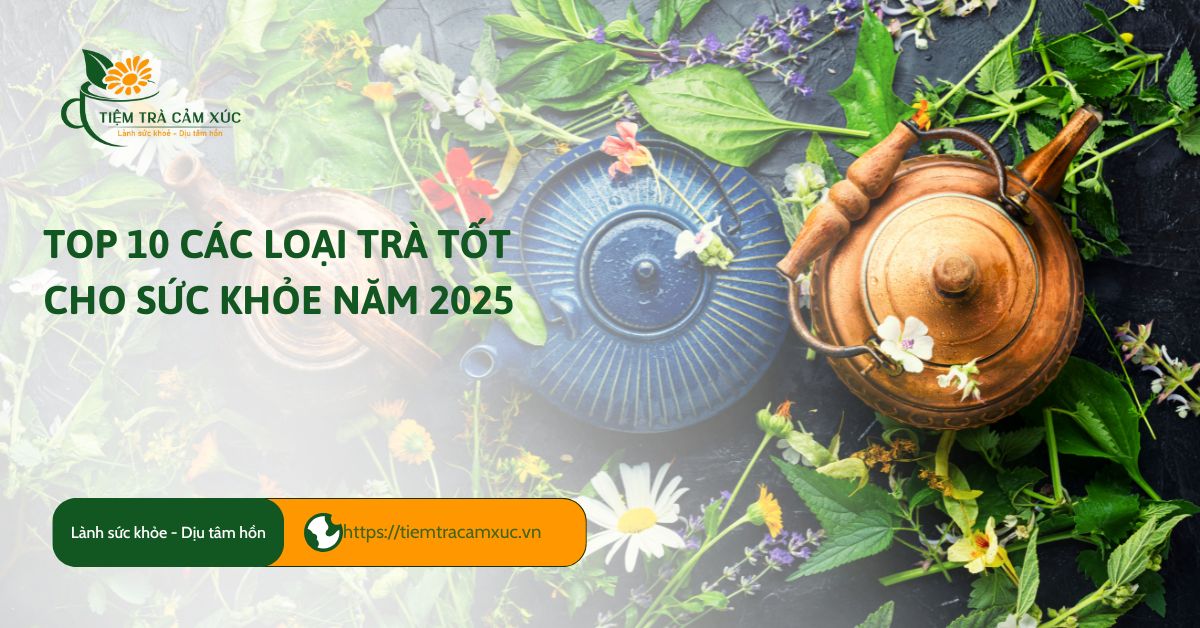 Top 10 các loại trà tốt cho sức khỏe năm 2025