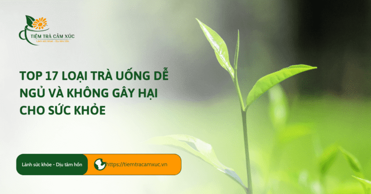 trà uống dễ ngủ