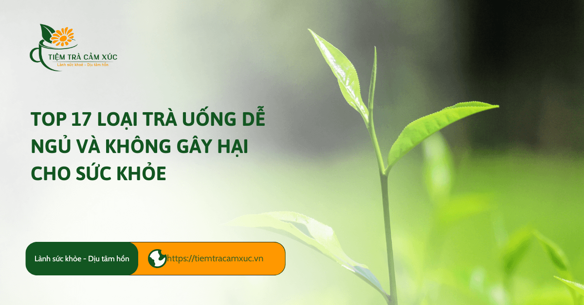trà uống dễ ngủ