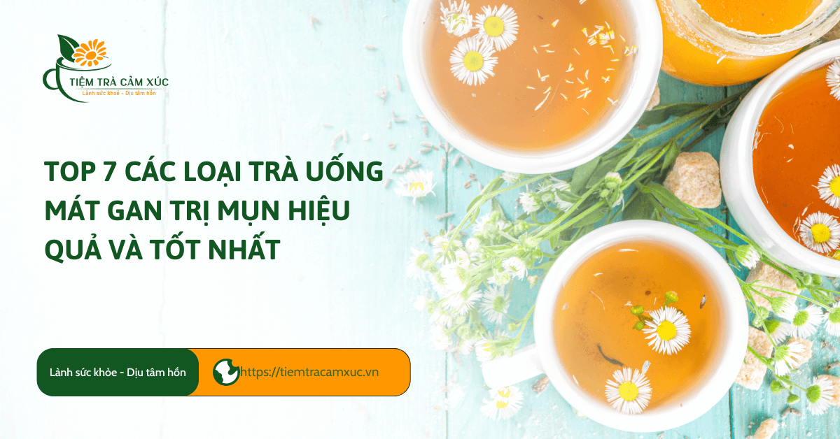 các loại trà uống mát gan trị mụn