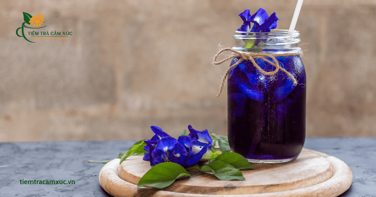 Thanh lọc cơ thể giảm cân nhẹ nhàng