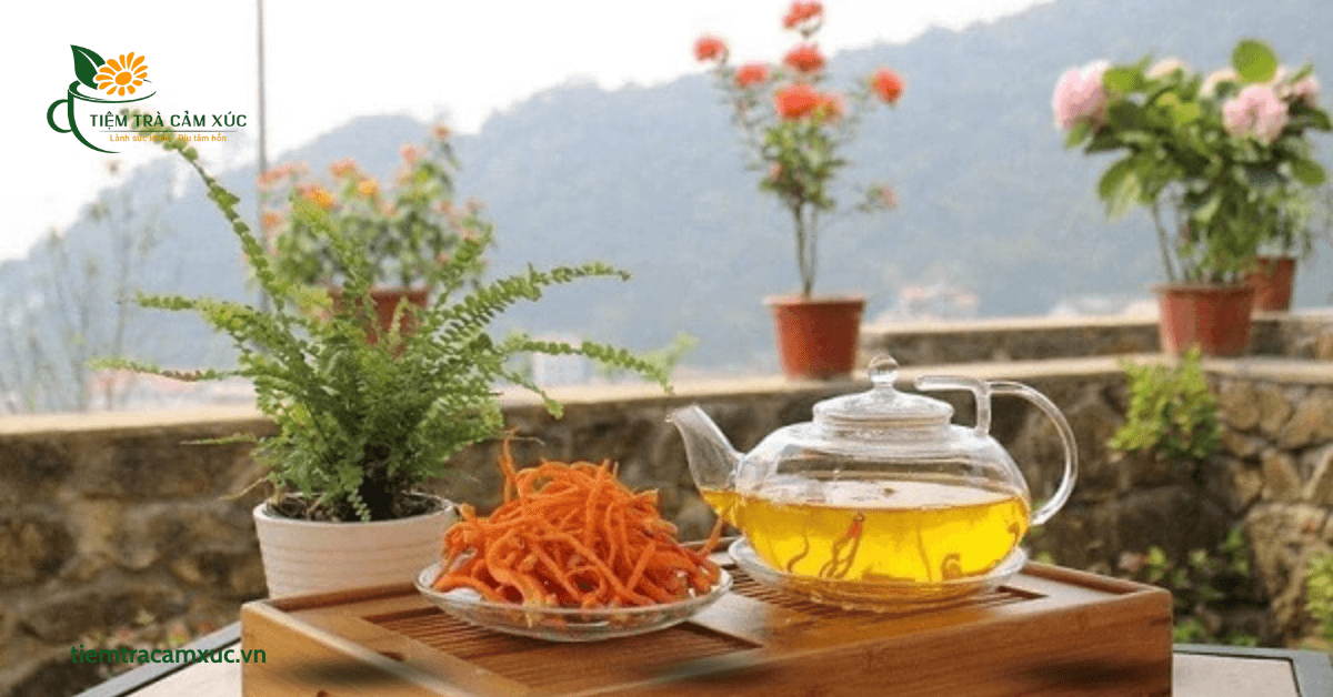 Trà Đông Trùng Hạ Thảo