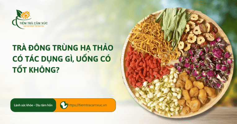 Trà đông trùng hạ thảo có tác dụng gì, uống có TỐT không?