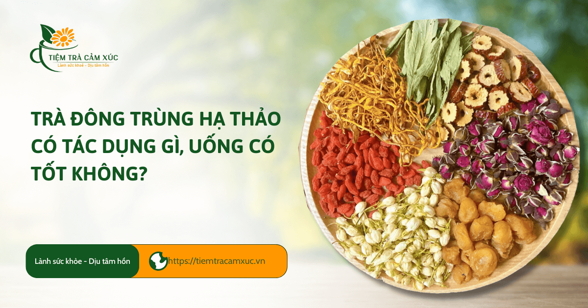Trà đông trùng hạ thảo có tác dụng gì, uống có TỐT không?