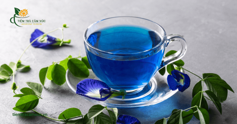 trà dưỡng nhan đậu biếc