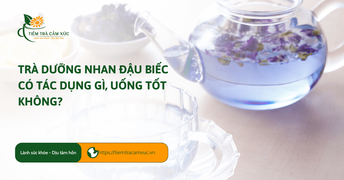 Trà dưỡng nhan đậu biếc có tác dụng gì, uống TỐT không?