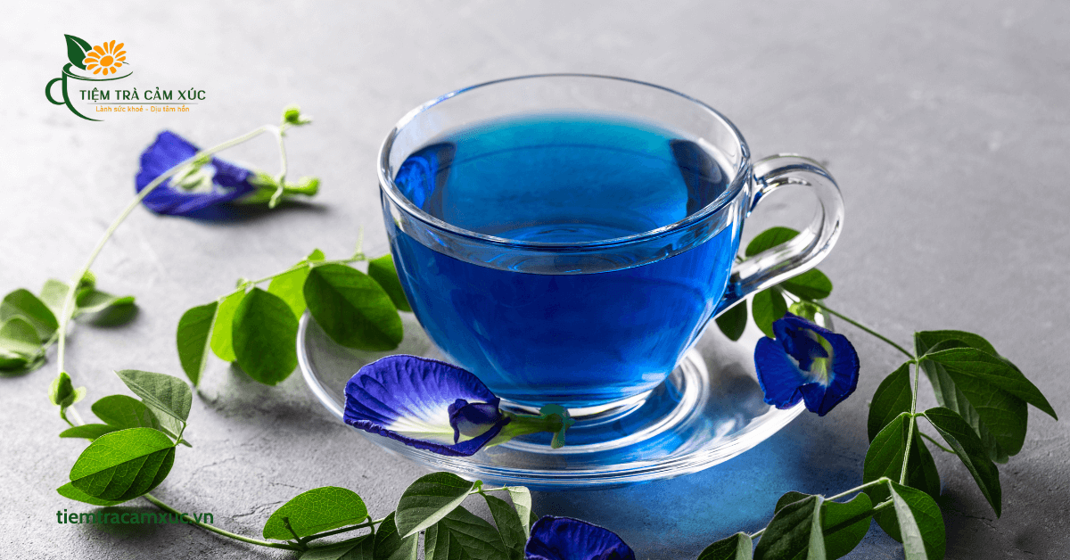 trà dưỡng nhan đậu biếc