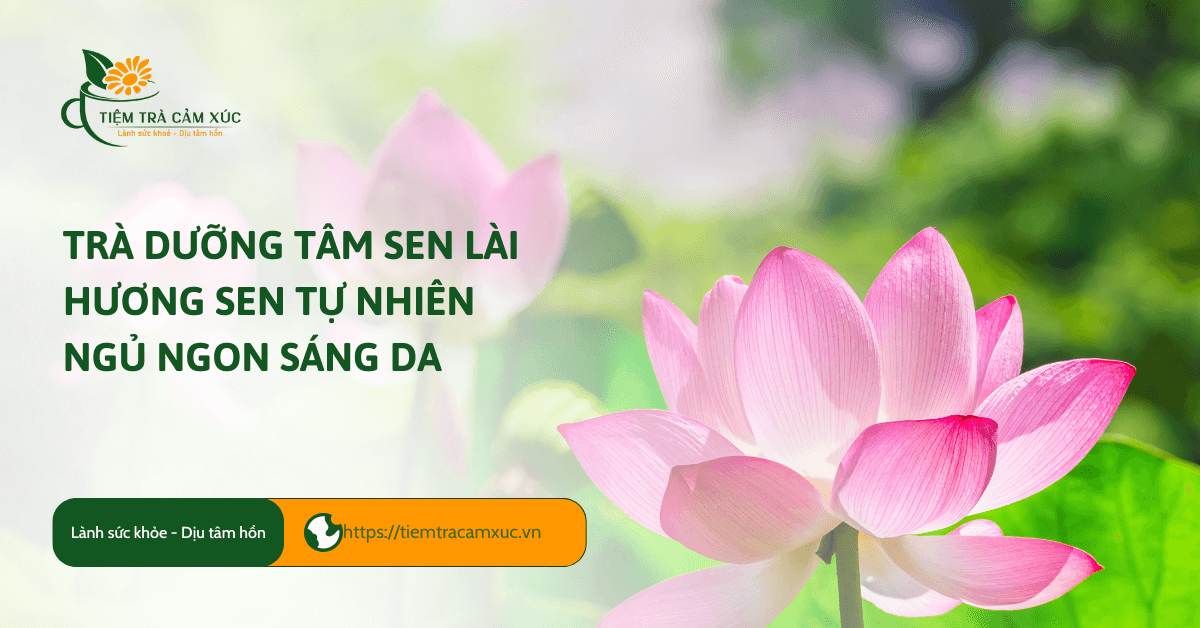 Trà dưỡng tâm sen lài, hương sen tự nhiên, ngủ ngon, sáng da