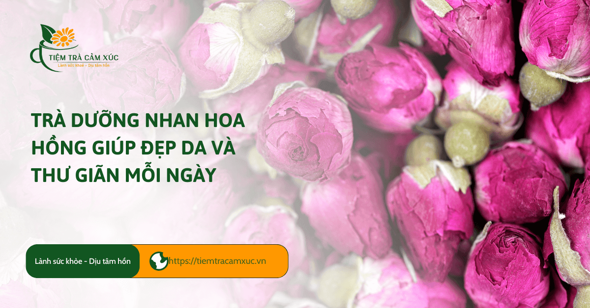 Trà dưỡng nhan hoa hồng giúp đẹp da và thư giãn mỗi ngày