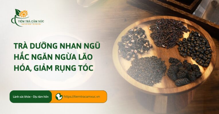 Trà dưỡng nhan ngũ hắc ngăn ngừa lão hóa, giảm rụng tóc