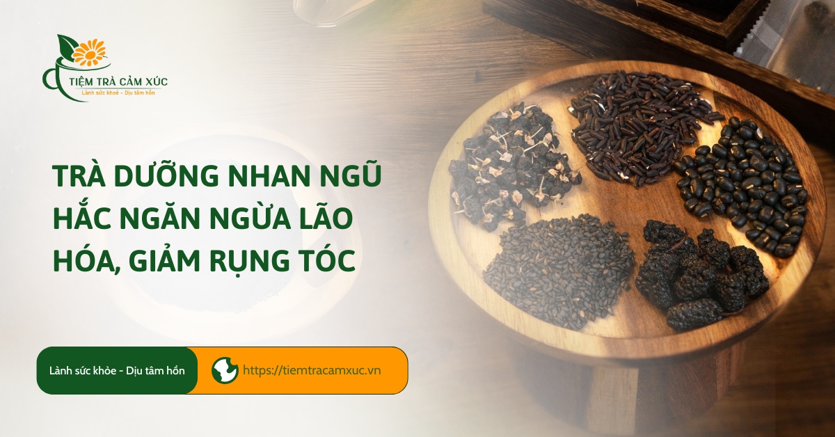 Trà dưỡng nhan ngũ hắc ngăn ngừa lão hóa, giảm rụng tóc