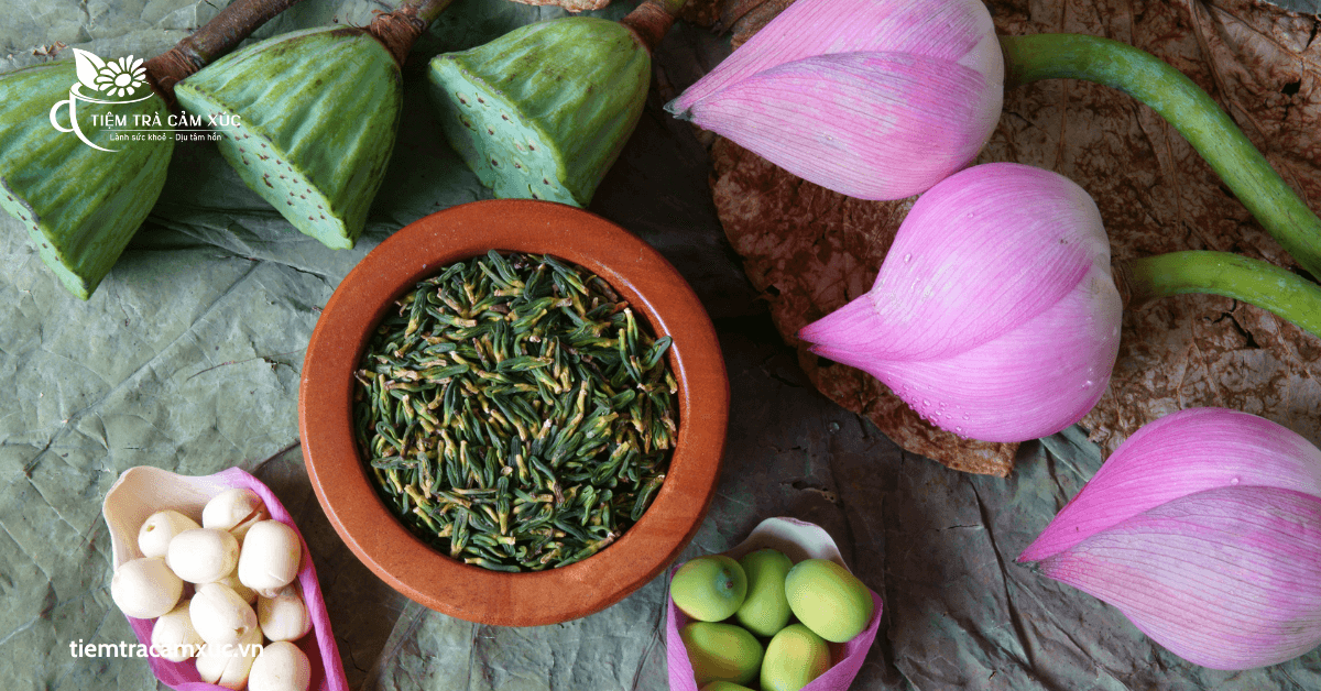 Trà dưỡng tâm sen là