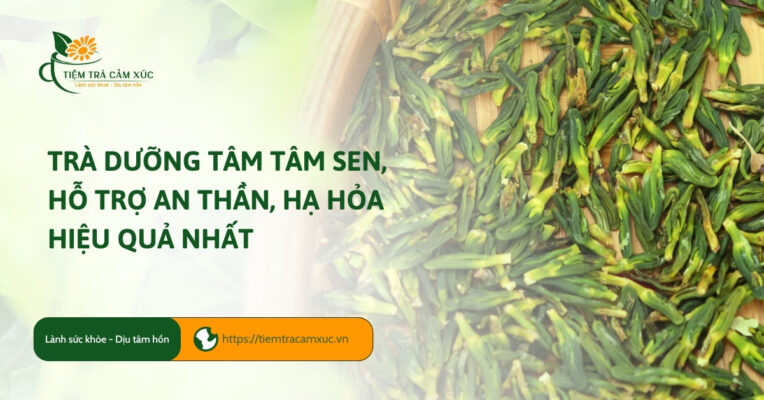 Trà dưỡng tâm tâm sen, hỗ trợ an thần, hạ hỏa hiệu quả nhất