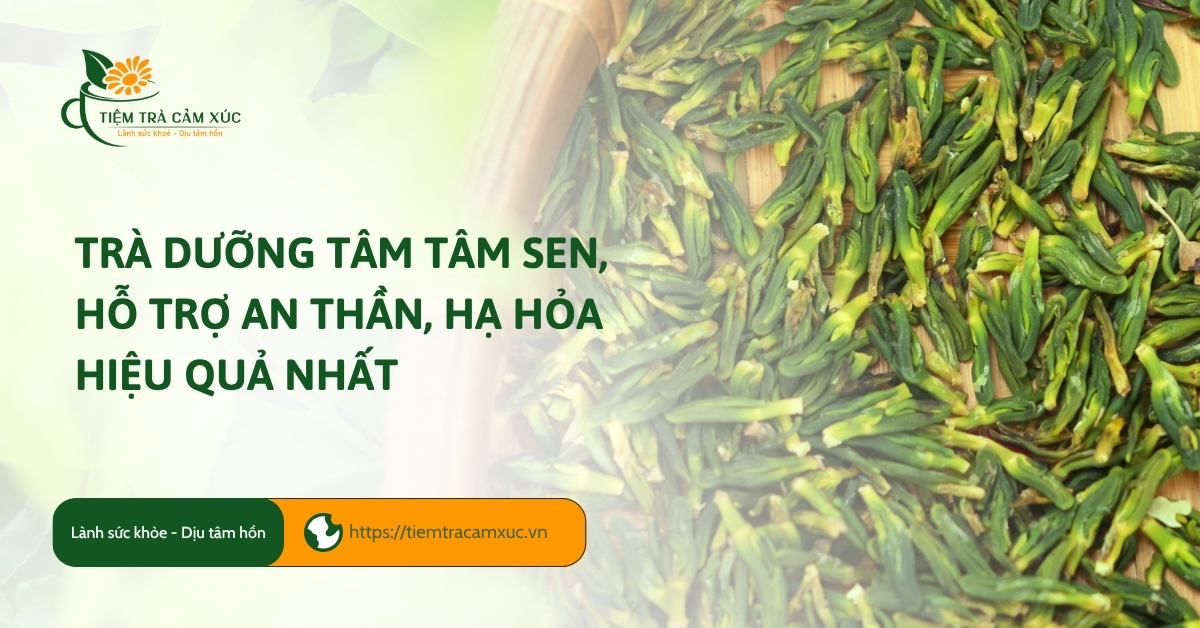 Trà dưỡng tâm tâm sen, hỗ trợ an thần, hạ hỏa hiệu quả nhất