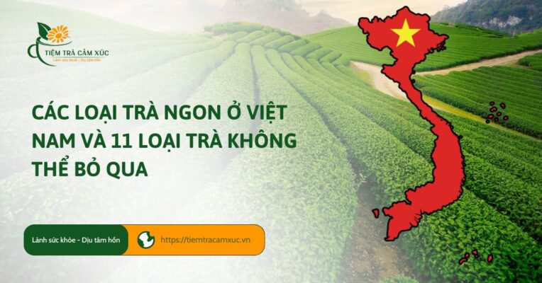 Các loại trà ngon ở Việt Nam và 11 loại trà không thể bỏ qua