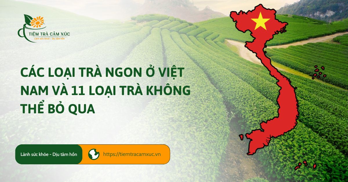 Các loại trà ngon ở Việt Nam và 11 loại trà không thể bỏ qua