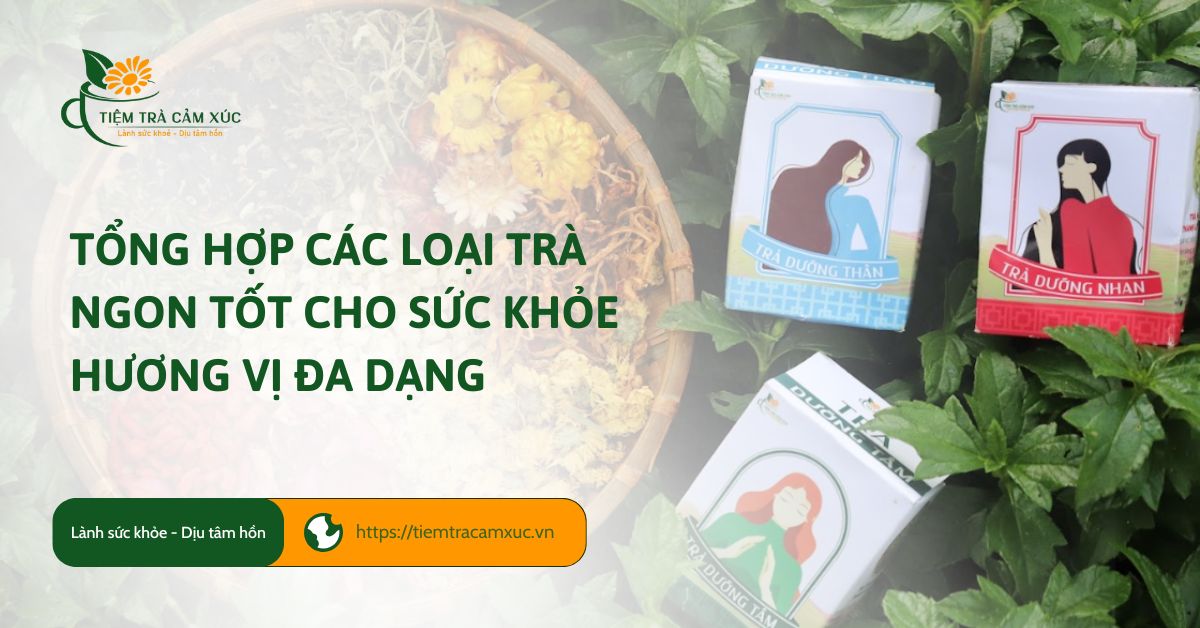 Tổng hợp các loại trà ngon tốt cho sức khỏe hương vị đa dạng