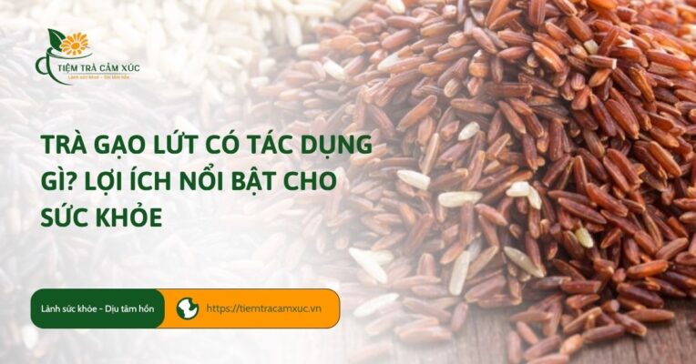 Trà gạo lứt có tác dụng gì? Lợi ích nổi bật cho sức khỏe