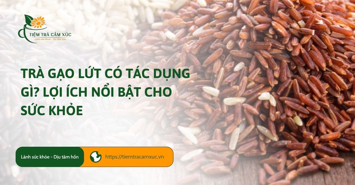 Trà gạo lứt có tác dụng gì? Lợi ích nổi bật cho sức khỏe