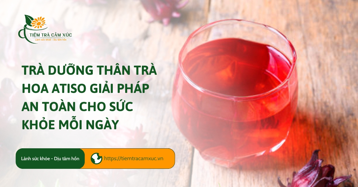 trà dưỡng thân trà hoa atiso