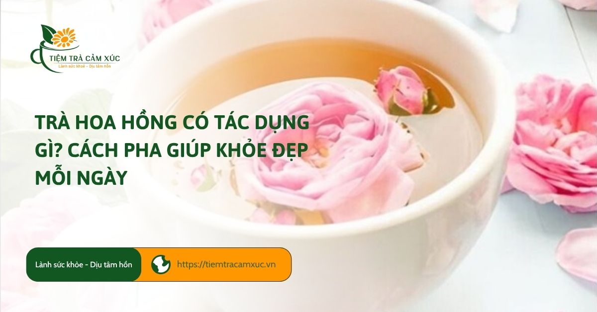 Trà hoa hồng có tác dụng gì? Cách pha giúp khỏe đẹp mỗi ngày
