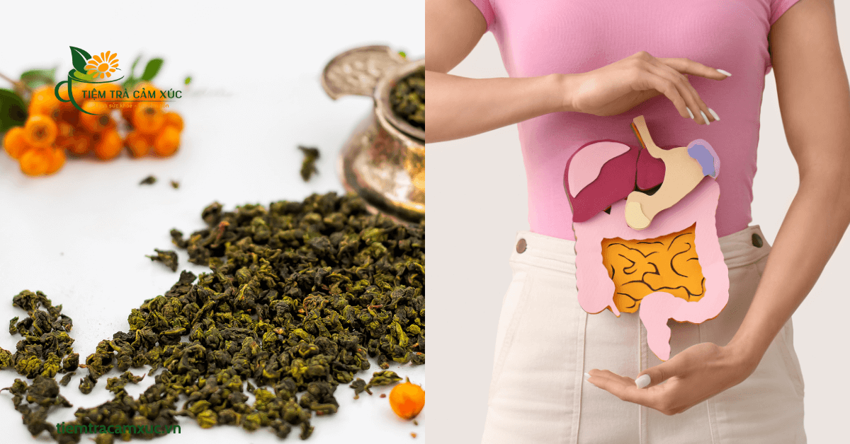 Trà ô long hỗ trợ tiêu hóa và giảm cân