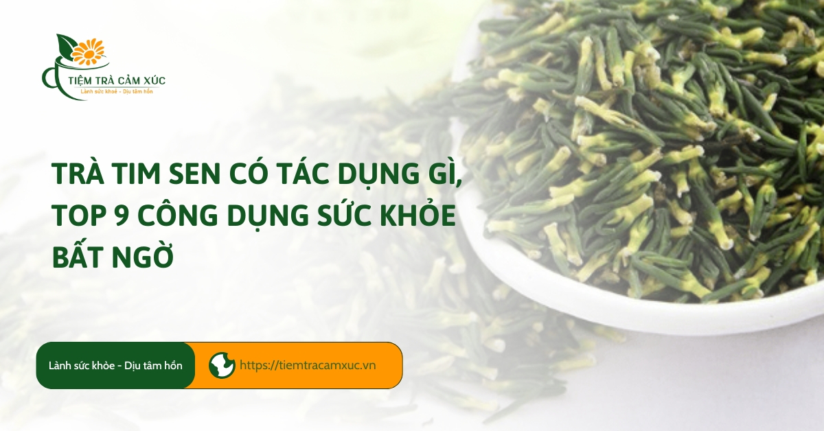 Trà tim sen có tác dụng gì, Top 9 công dụng sức khỏe bất ngờ