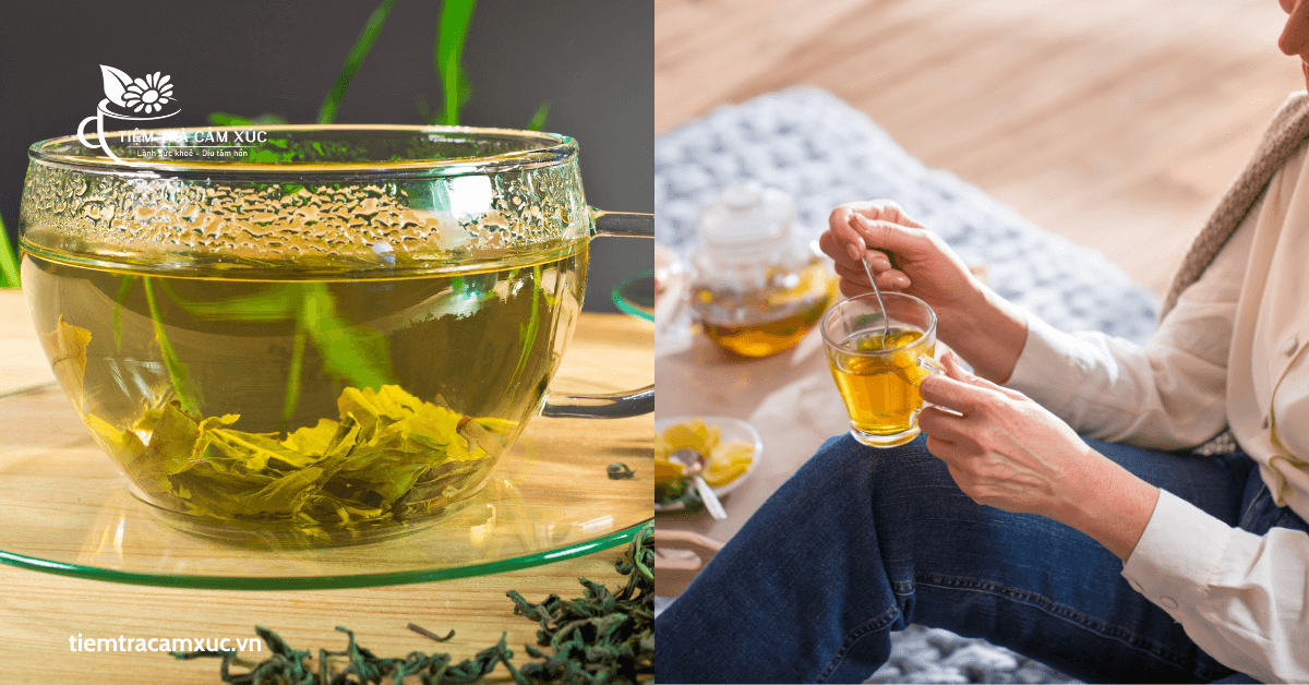 Trà xanh giúp chống oxy hóa và ngăn ngừa lão hóa