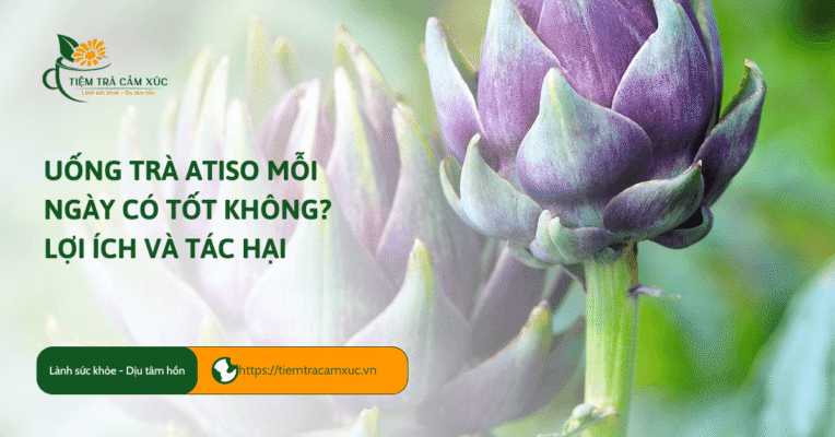 Uống trà Atiso mỗi ngày có tốt không? Lợi ích và tác hại