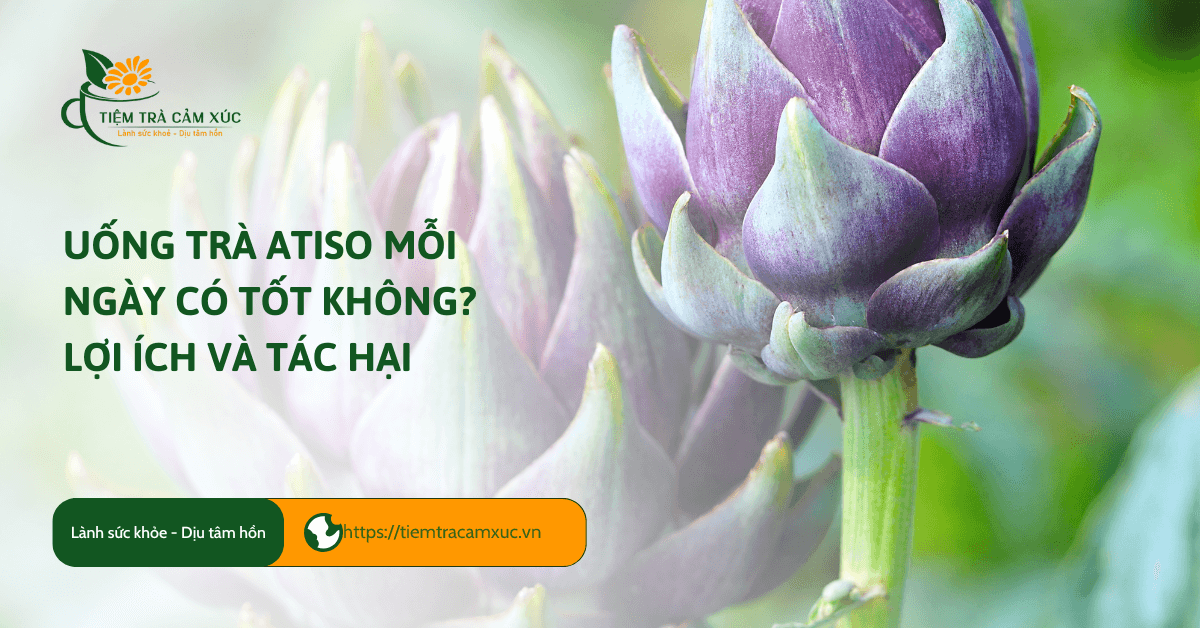 Uống trà Atiso mỗi ngày có tốt không? Lợi ích và tác hại