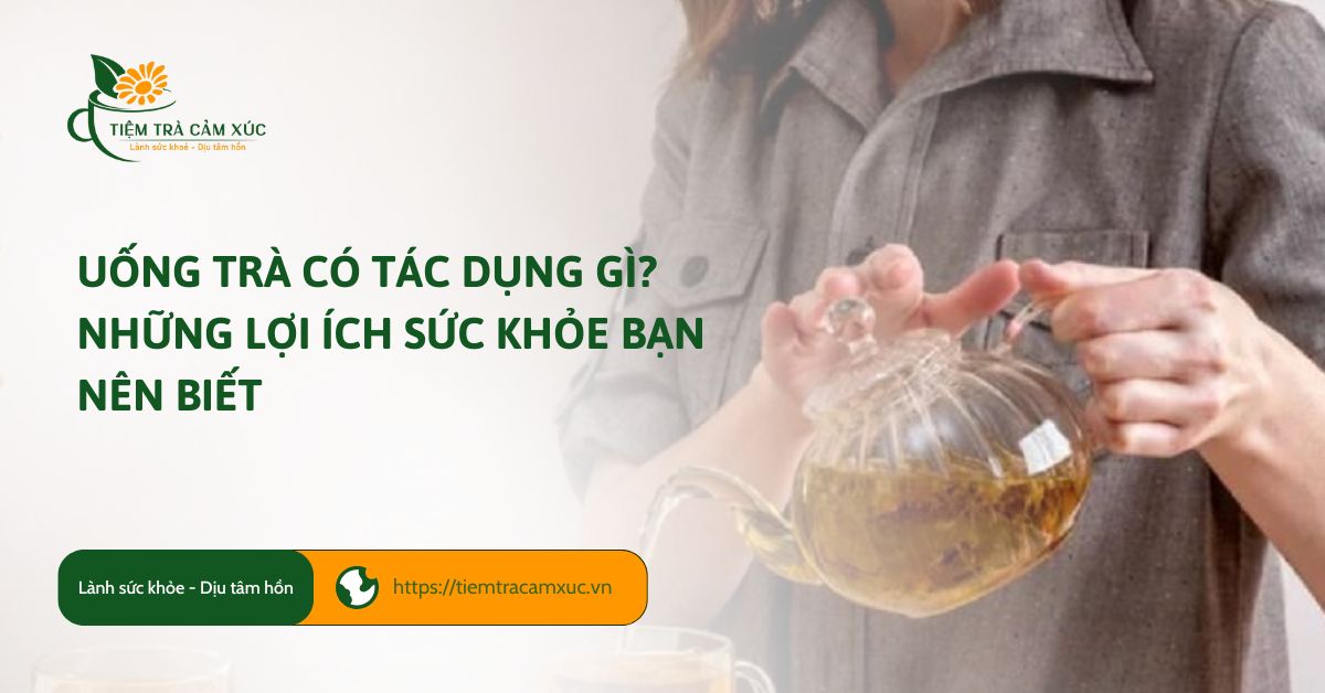 Uống trà có tác dụng gì? Những lợi ích sức khỏe bạn nên biết