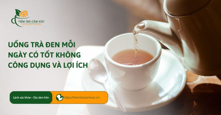 uống trà đen mỗi ngày có tốt không