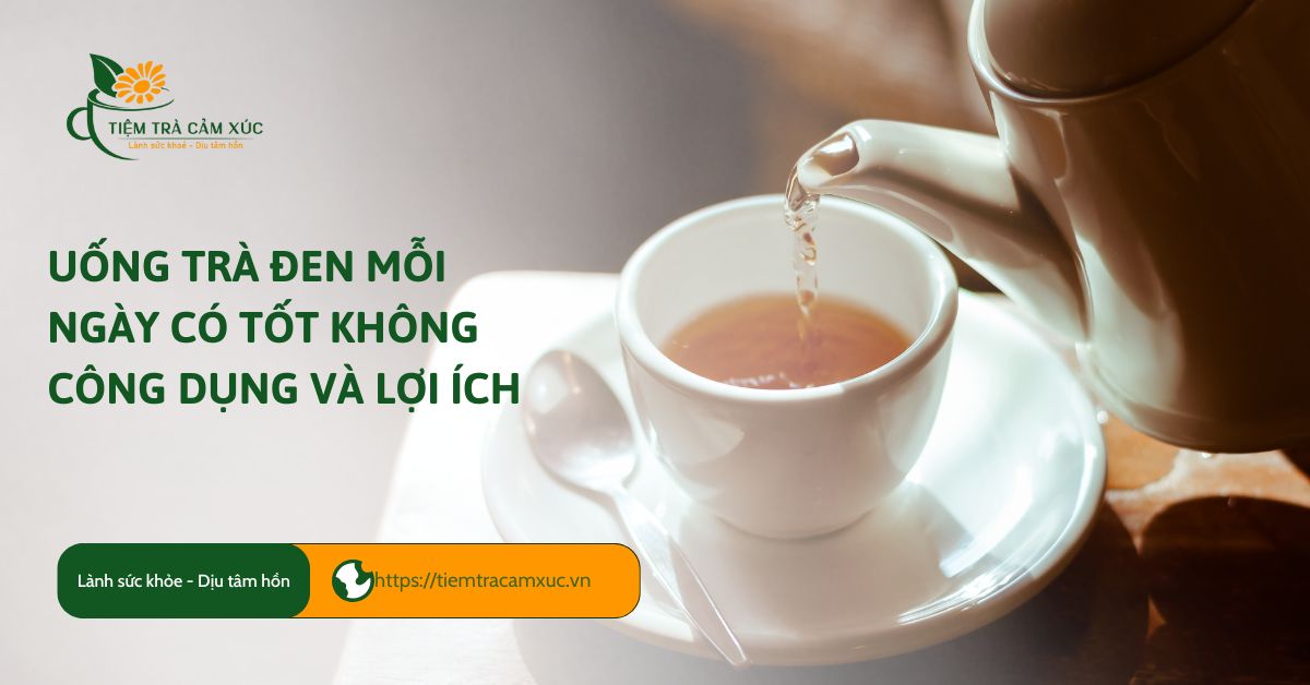 uống trà đen mỗi ngày có tốt không