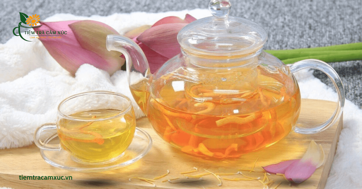 Uống trà Đông Trùng Hạ Thảo có TỐT không?