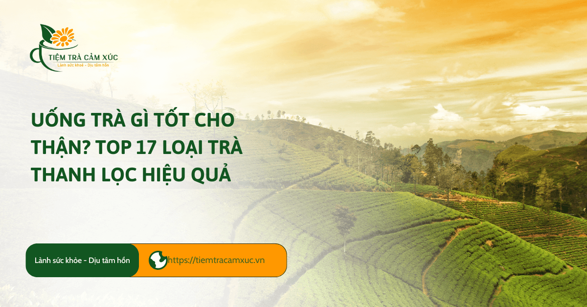 Uống trà gì tốt cho thận
