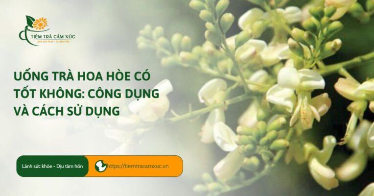 trà hoa hòe