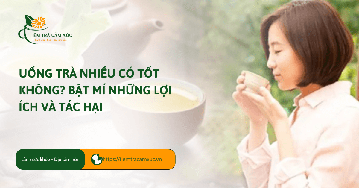 Uống trà nhiều có tốt không