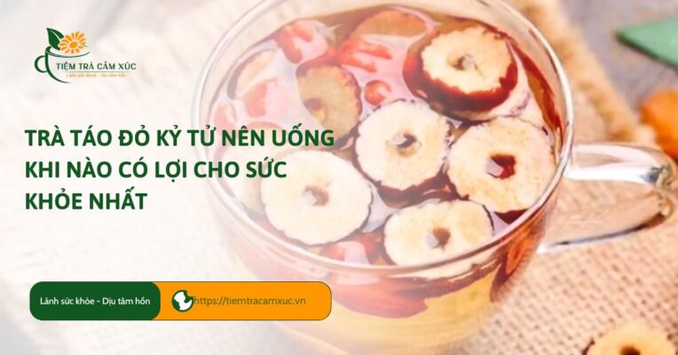 Trà táo đỏ kỷ tử nên uống khi nào có lợi cho sức khỏe nhất