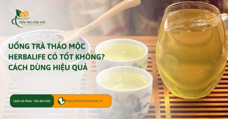 Uống tà thảo mộc herbalife có tốt không