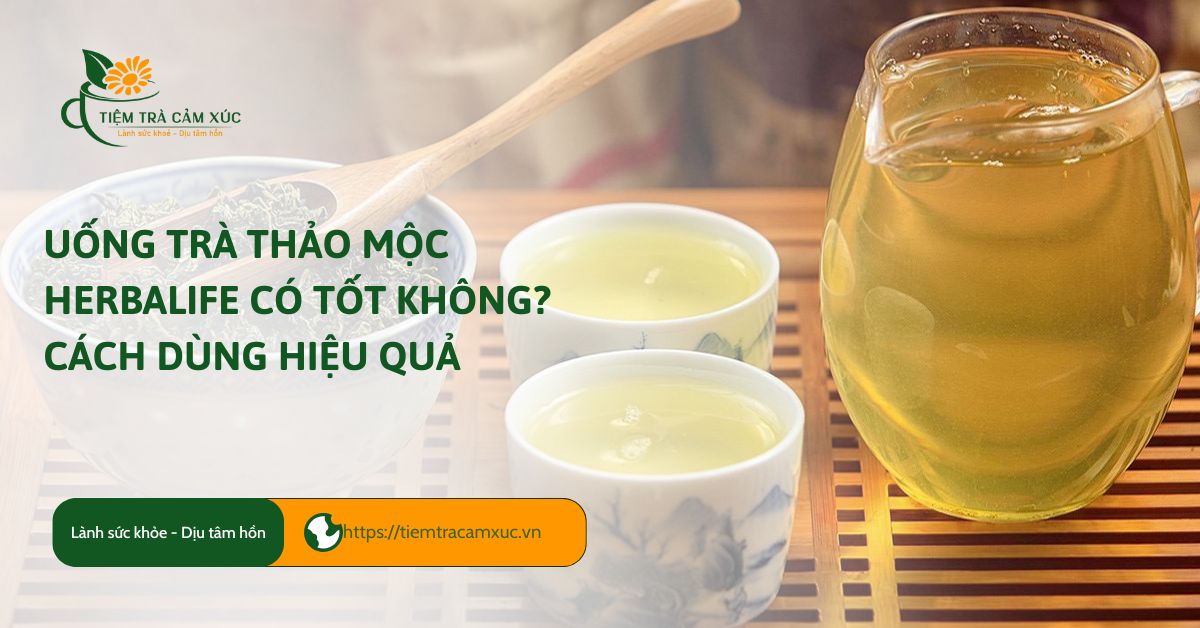 Uống tà thảo mộc herbalife có tốt không