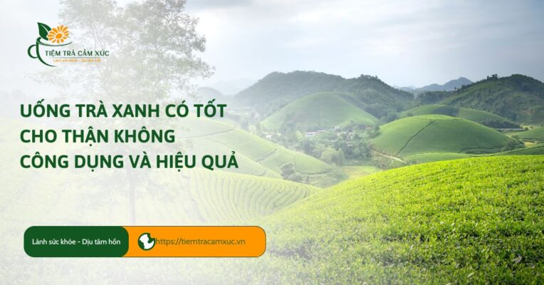 uống trà xanh có tốt cho thận không
