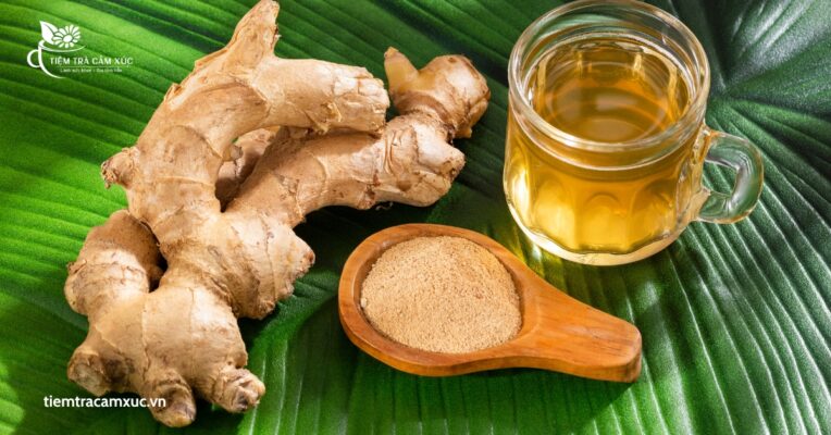 Trà Gừng là gì