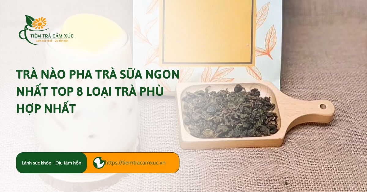 trà nào pha trà sữa ngon nhất