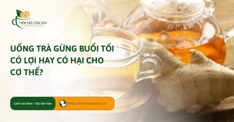 Ai không nên uống trà gừng buổi tối?
