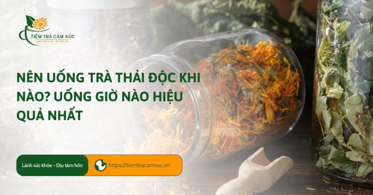 Uống Trà Hàng Ngày Có Tốt Không_ Bí quyết VÀNG cho sức khỏe