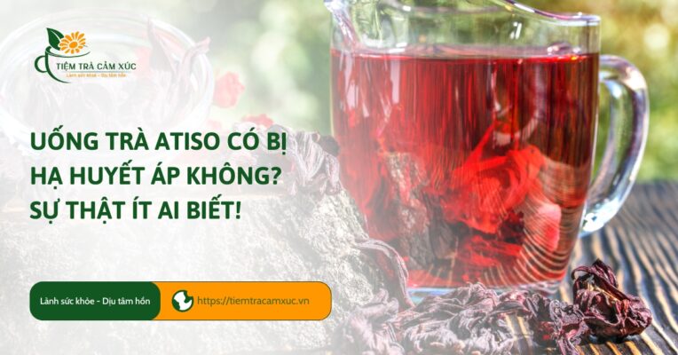 Uống trà atiso có bị hạ huyết áp không Sự thật ít ai biết!