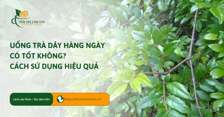 Uống trà dây