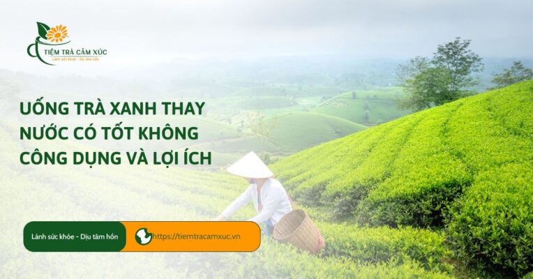 uống trà xanh thay nước có tốt không