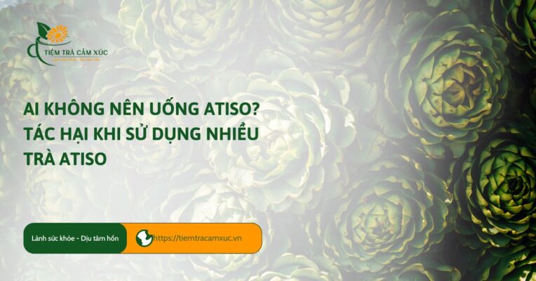ai không nên uống atiso